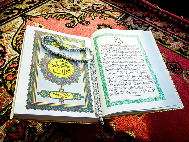 Quran Life Guide BookQuran Life Guide Book
