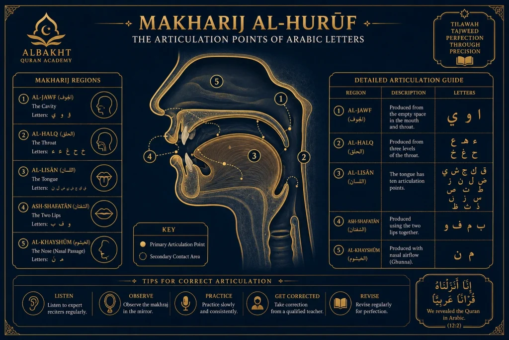 Phonetic articulation diagram used in Tajweed for kids North America to correct native English accent bleed.